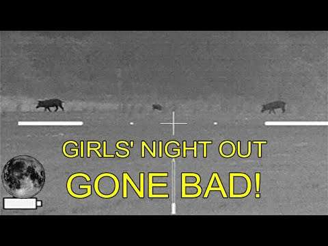 Girls' Night Out Gone Bad, 3 Gilts Down