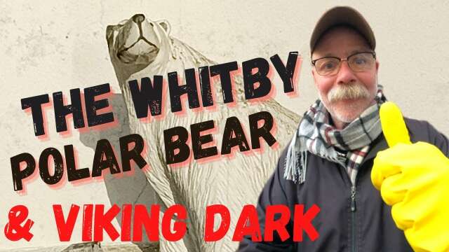 CLEANING TOILETS & THE VIKING DARK.