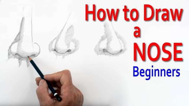 Basics: How to Draw a Nose