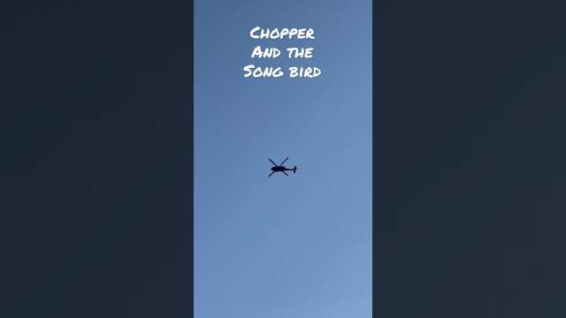 Chopper and the Song Bird #shorts