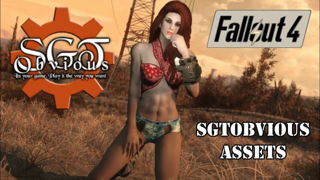 SgtObvious Assets - Fallout 4