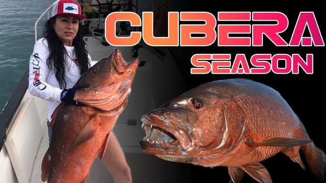 Fishing for Cubera snapper in Cabo San Lucas