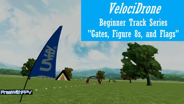 VelociDrone | Beginner Track: "Lvl 4 Gates, Figure 8s, and Flags" | Drone Practice, Day 17
