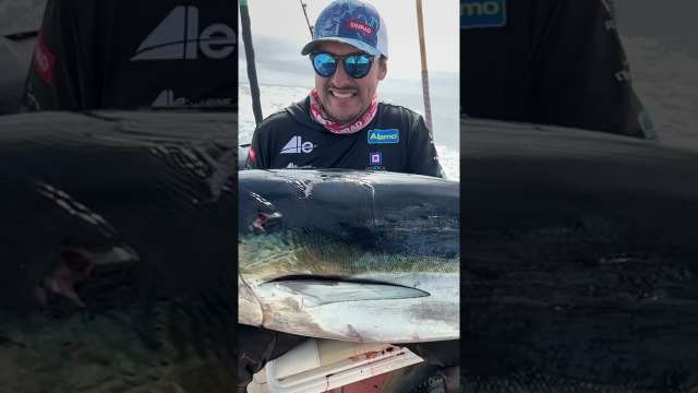 Bluefin tuna in Ensenada