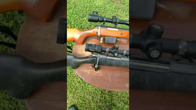 Polymer Stock VS Wood Stock