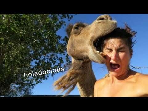 HOOD ANIMAL VOICEOVERS π (November 9th, 2022)