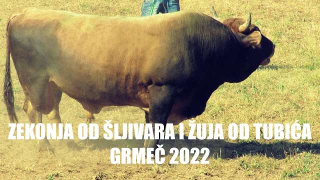 ZEKONJA OD ŠLJIVARA I ŽUJA OD TUBIĆA GRMEČ 2022
