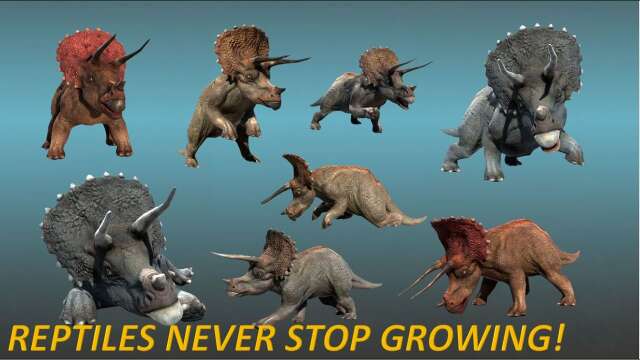 DINOSAURS LIVING AMONG HUMANS! š¦ š¦