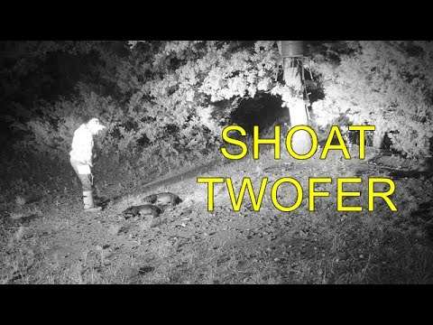 155 Yard Shoat Twofer