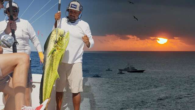 Fishing for different species