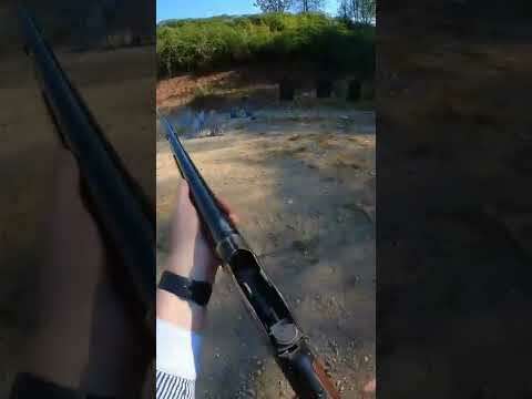 6 stages of my Chiappa 1887 lever action 12ga
