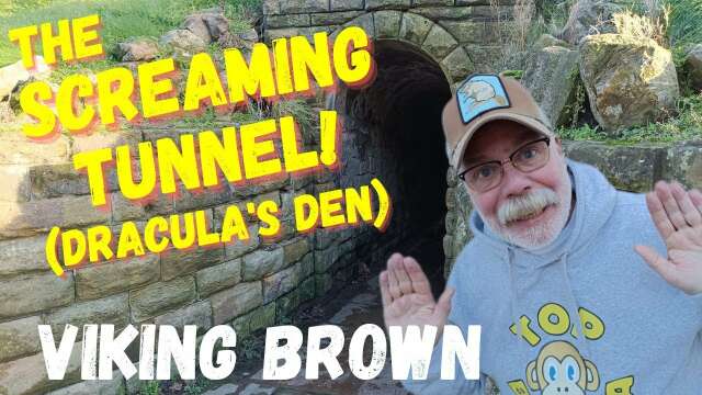 THE VIKING BROWN..A TOP BANANA!