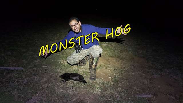 Piglets Are Hard, Tripod Coyote