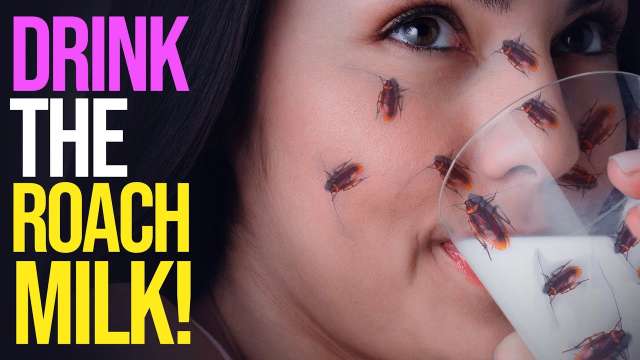 You Will Drink the ROACH MILK!!! And You Will Be HAPPY!!!