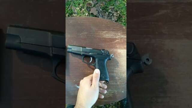 Ruger P89 History and Overview