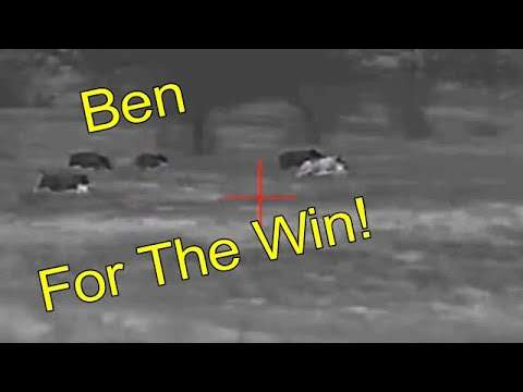 Ben For The WIN! 3 Hogs Down (+4), & More Scope Problems
