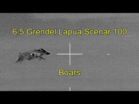 Two Boars With DHA Lapua Scenar 100s