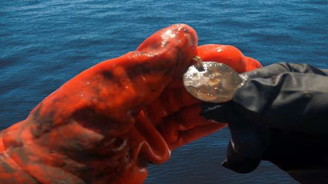 A Spine-Chilling Magnet Fishing Find!!