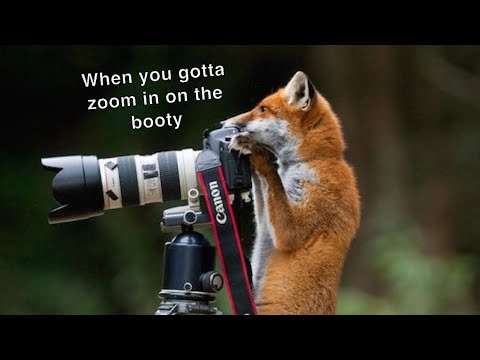 Hood Animal Voiceovers π€£ (August 8, 2022)
