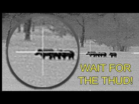 Long Shot Boars & Electronics Issues
