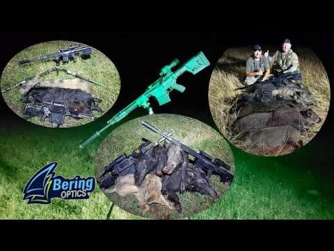 13 Hogs & 1 Coyote New Super Yoter 25mm