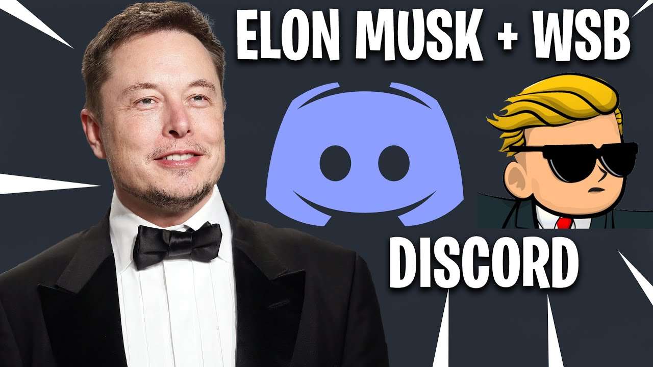 WallStreetBets Discord Server: Elon Musk Discord Account – Playeur