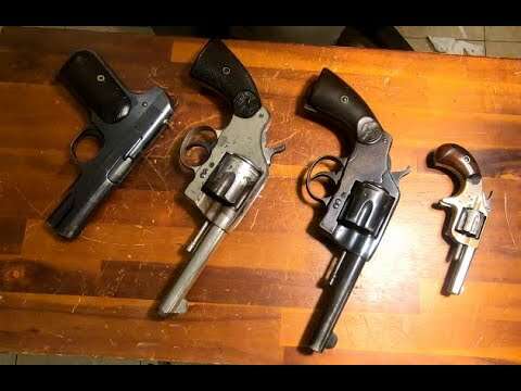 Four Real Colts -and one imposter
