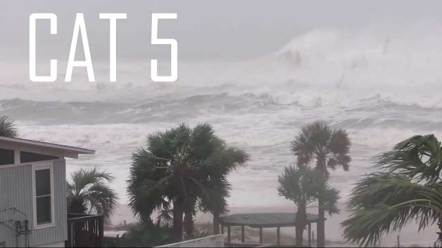 Cat 5