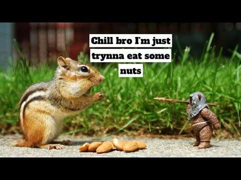 Hood Animal Voiceovers π (September 20, 2022)
