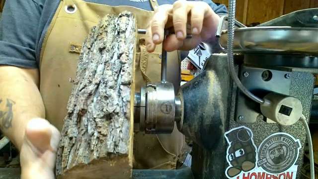 Woodworm Screw
