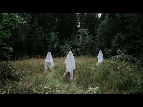 Geisterjäger LIVE auf dem FRIEDHOF 😱👻😰