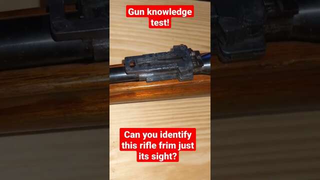 Can you identify this rifle from just its rear sight?