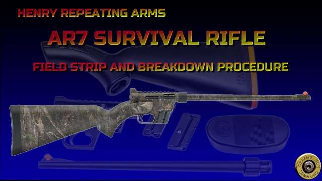 Henry AR7 Field Strip