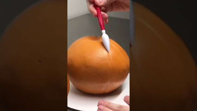 Which Pumpkin is a Cake? #RealorCake