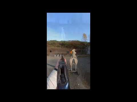 Running the 1887 lever action 12 gauge