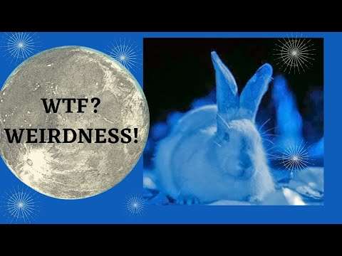 Rabbits Moon (1950)|Dark fairytale| short movie review
