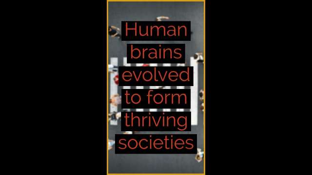 Human brains evolved to form thriving societies