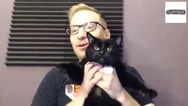 Lucy Compilation For Black Cat Appreciation Day!