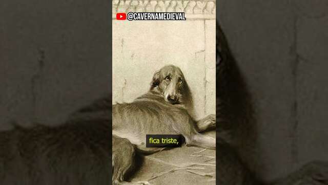 Cachorro Argos #curiosidades #história