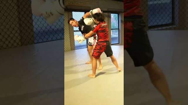 HARD to the Body, Light to the Head 💪