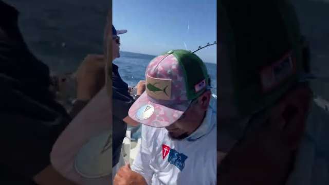 Yellowfin tuna in Cabo San Lucas Mexico.