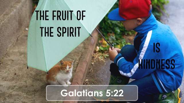 The Fruit of the Spirit is Kindness