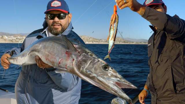 The best lures for Wahoos