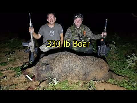 330 lb Boar: Charlotte Says, "Some Pig!" + 5 More