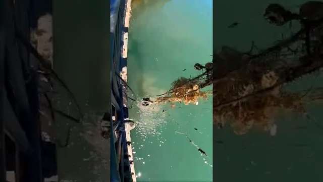 A lot of fishing line removed from the river.