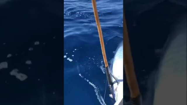 Fishing for wahoos in Cabo San Lucas.