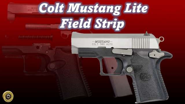Colt Mustang Lite Field Strip