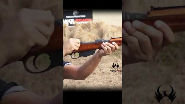 Steyr M1895 Loop