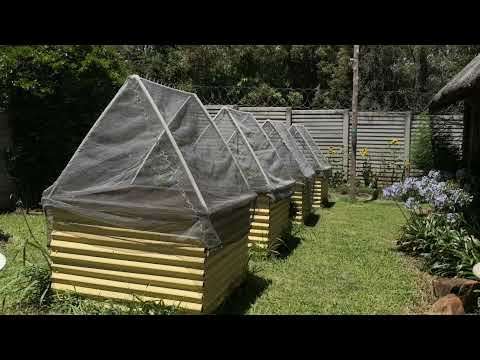 EP 34 Stone Cottage Garden Tour Summer 2021
