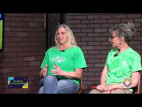 Paw Prints - Happy Tails Ep. 04
